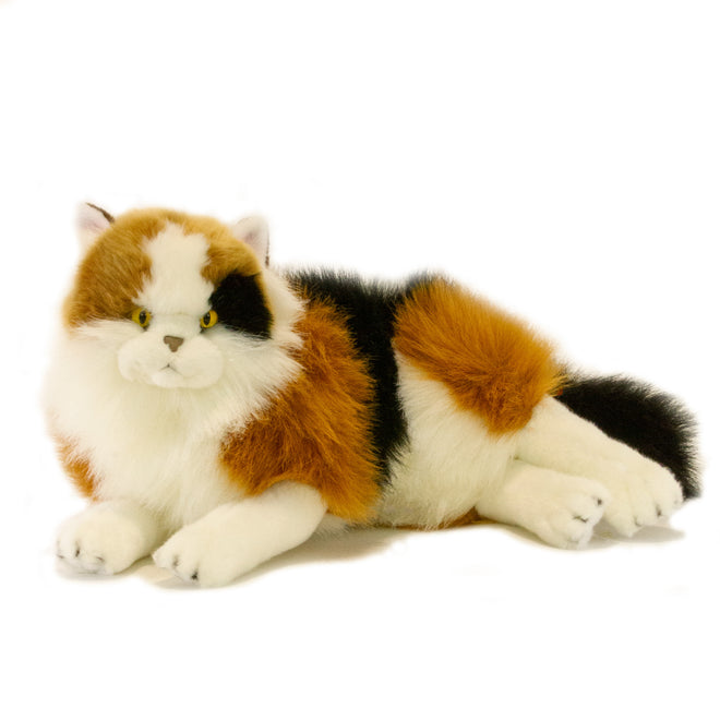 Marmalade | Calico Cat