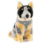 Marshall Australian Cattle Dog