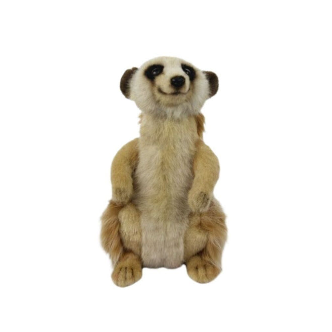 Nelly Meerkat