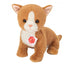 Mimi | Baby Cat