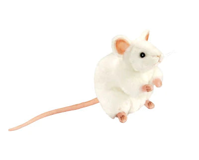 Darcy | Mouse