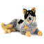Orazio | Cattle Dog