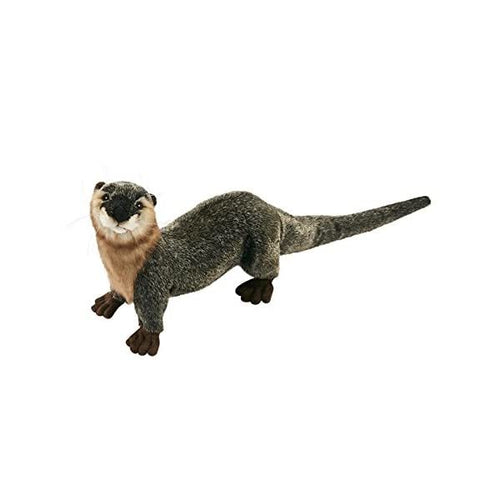 Arlo | River Otter