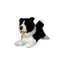 Patch | Border Collie