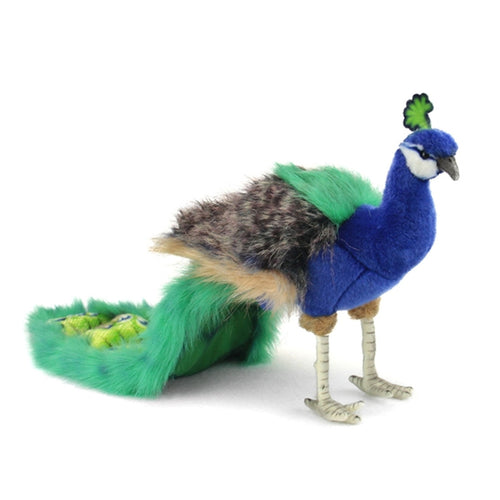 Rani Peacock