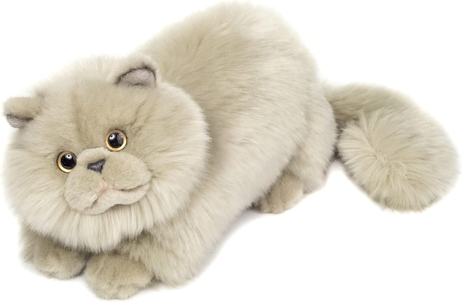 Percy | Persian Cat