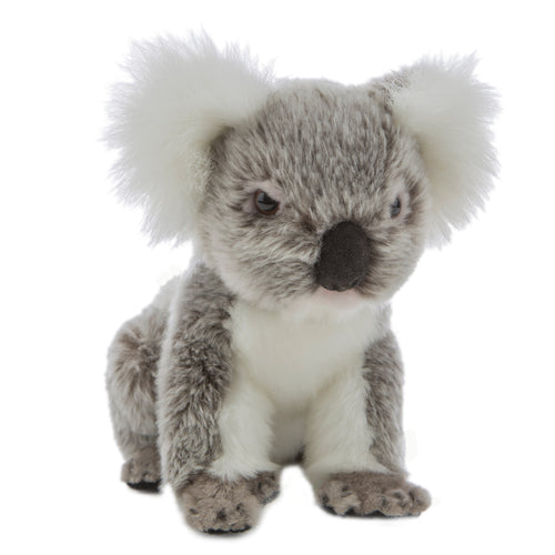 Petal | Koala