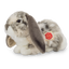 Basil | Ram Rabbit