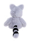 Riley | Raccoon