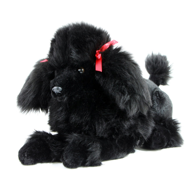 Romeo | Black Poodle