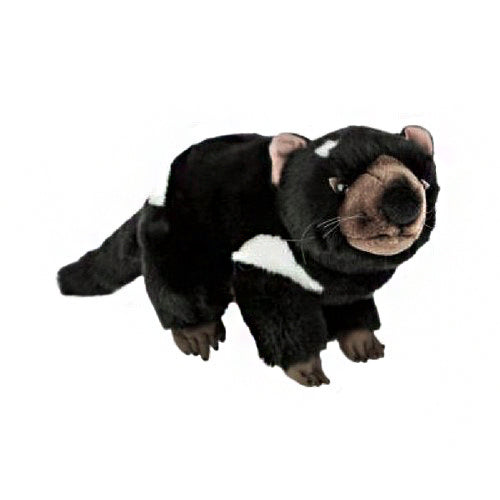 Rupert | Tasmanian Devil large