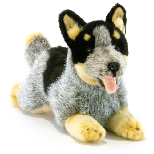 Rusty Cattle Dog