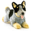 Rusty | Blue Heeler Cattle Dog