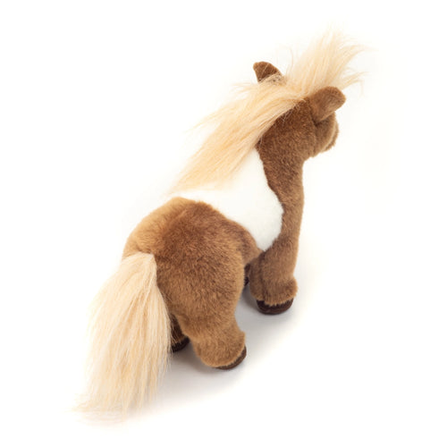 Camille Shetland Pony