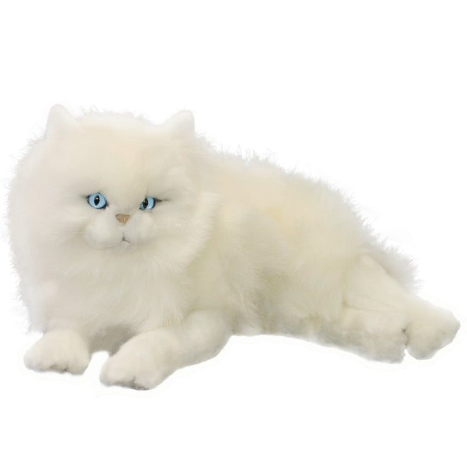 Snowflake | White Persian Cat