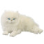 Snowflake | White Persian Cat