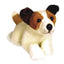 Sparky | Jack Russell Terrier