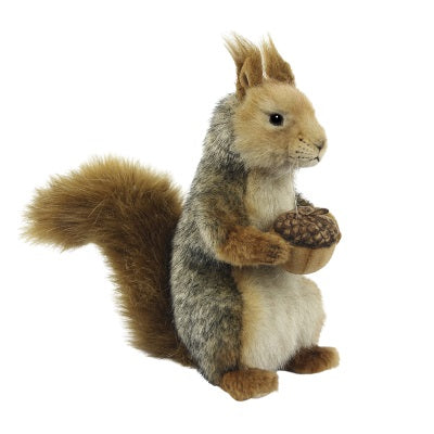 Squirrel with Nut