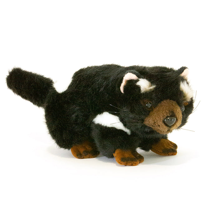 Tazzy | Tasmanian Devil small