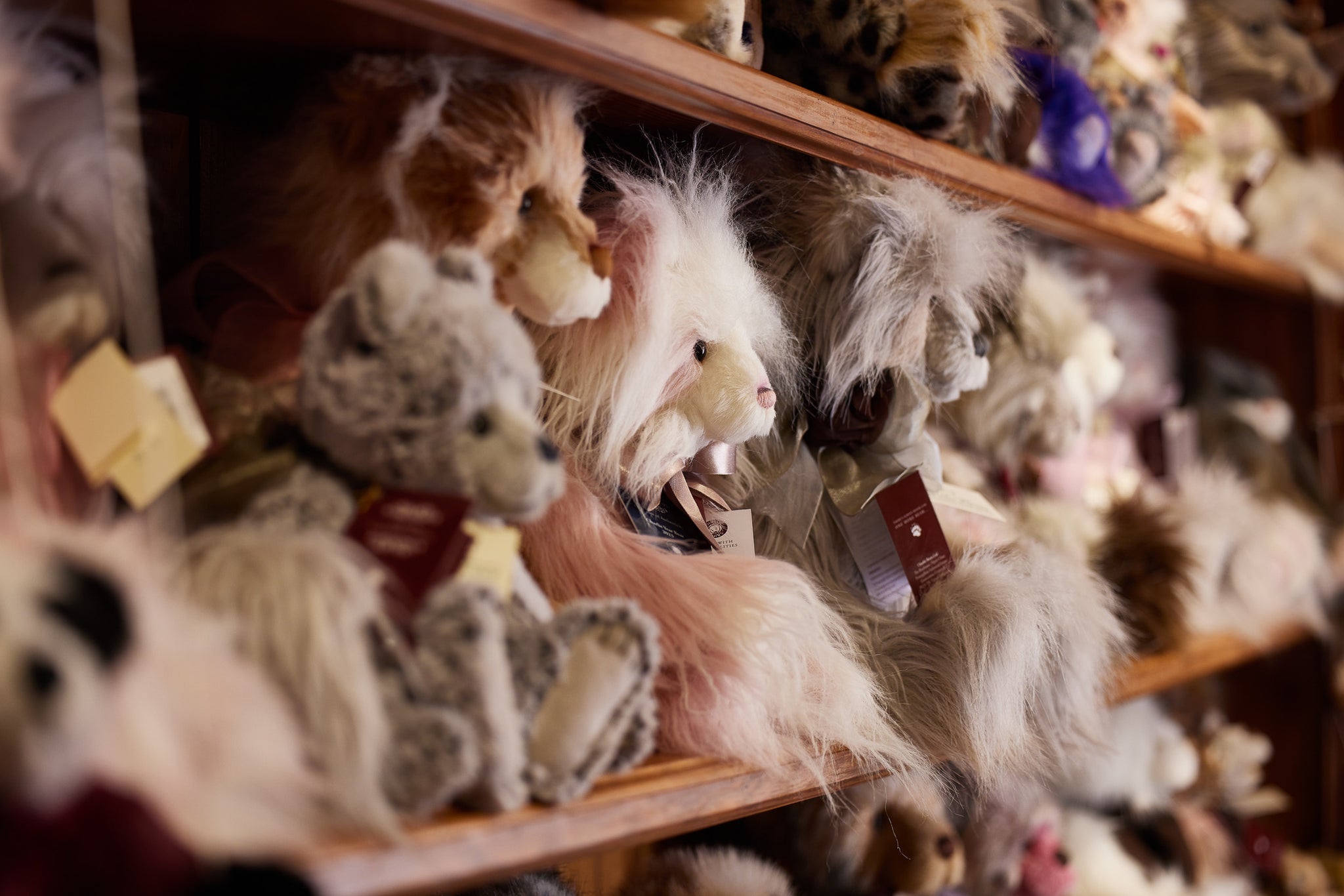 Charlie Bears Paw Store