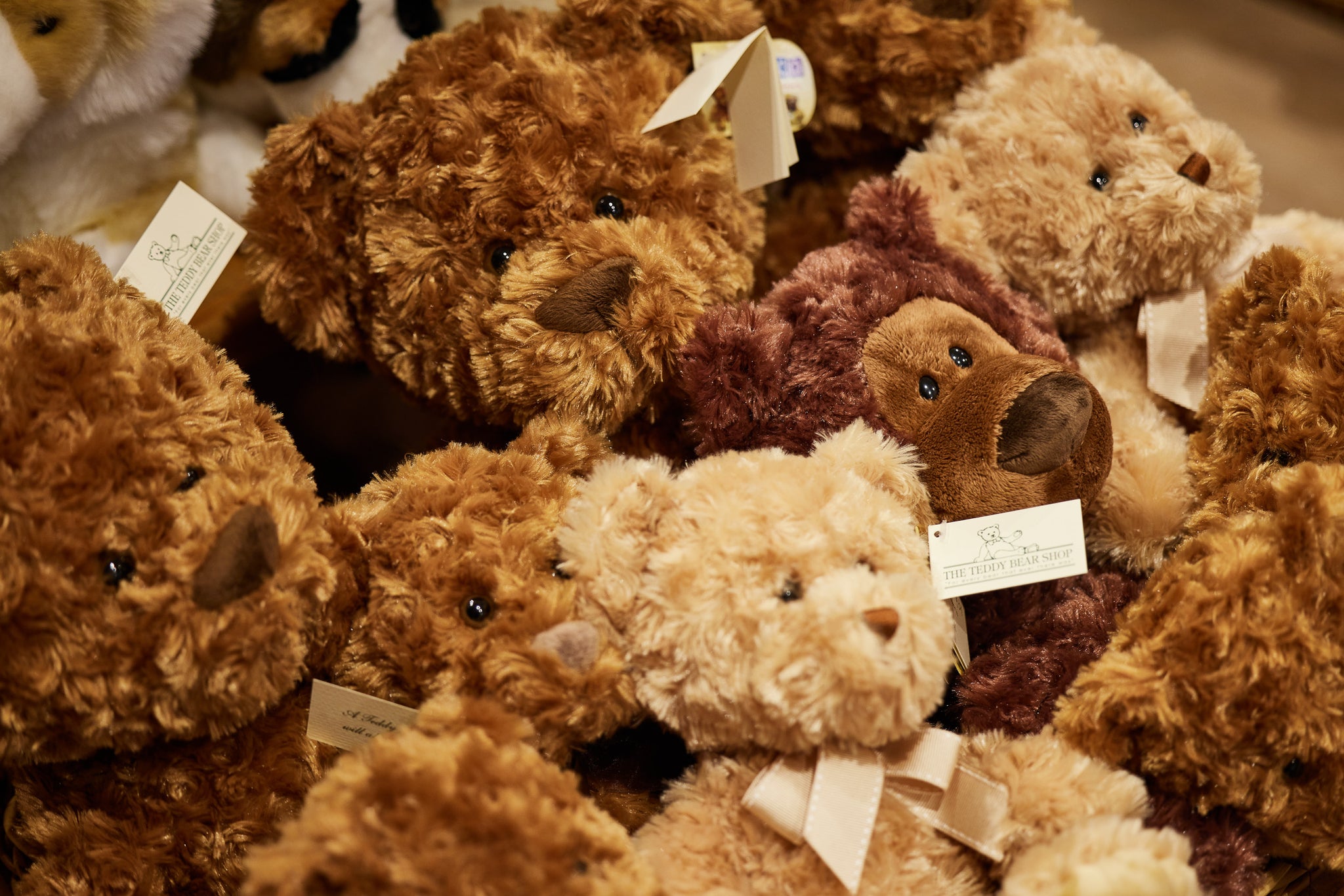 Steiff Teddy Bears Official Online and High Street Teddy Bear Shop
