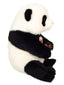 Monty | Panda