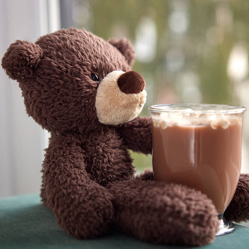 Fuzzy Chocolate Bear