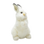 Lilah | White Rabbit