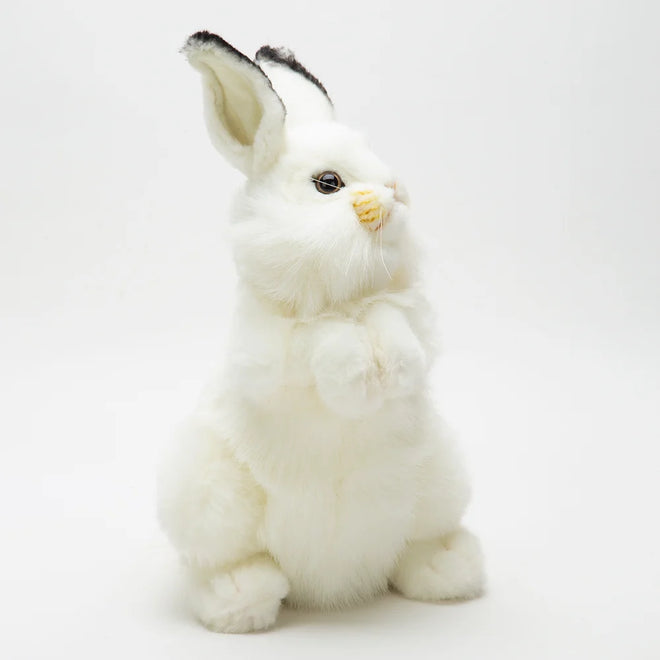 Snowdrop | White Rabbit