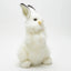 Lilah | White Rabbit