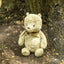 Classic Winnie the Pooh