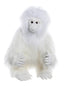 Yeti