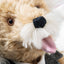 Steiff Limited Edition Albert Einstein