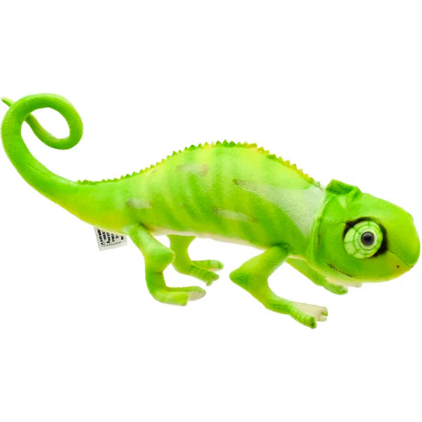 Leon Chameleon