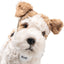 Foxy Fox Terrier Dog, Steiff