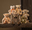 Steiff Mohair Luca Teddy Bear Growling