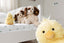 Pipsy Chick