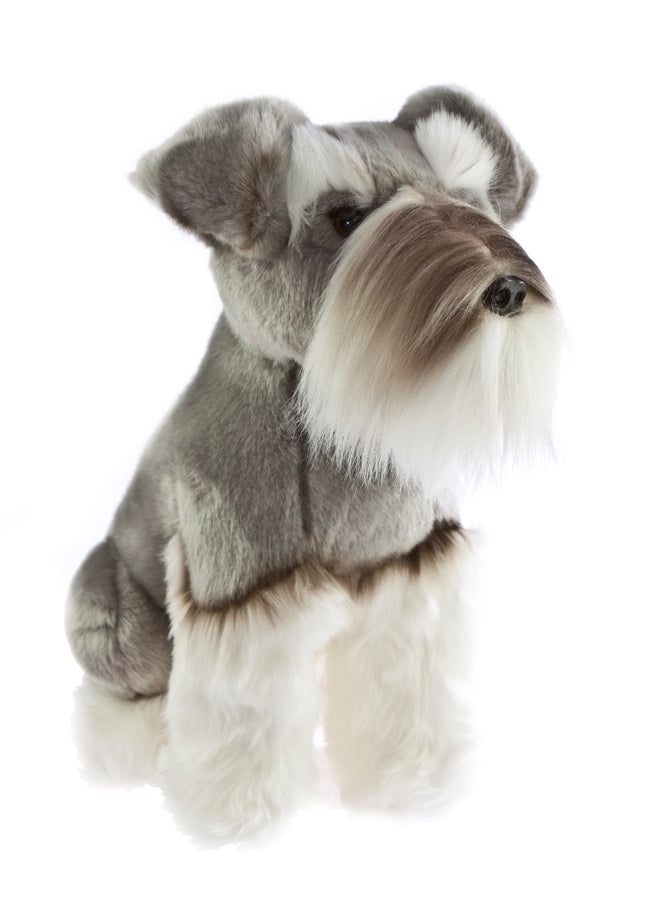 Watson | Schnauzer